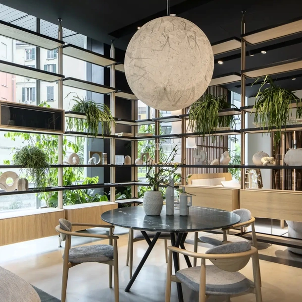 Libreria Dedalo di Novamobili